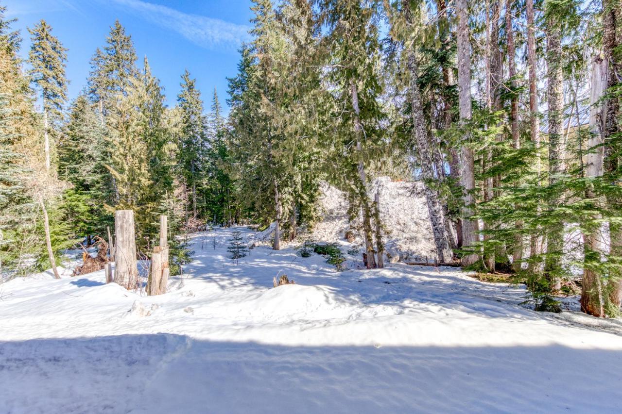 Apartamento The Chefs Chalet At Collins Lake Government Camp Exterior foto